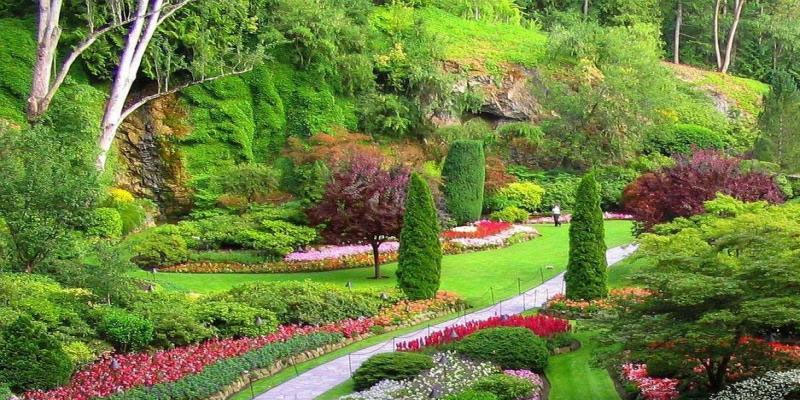 Landscape Contractors